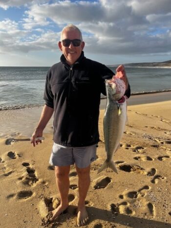 Photo of Australian Salmon on Greenly Beach