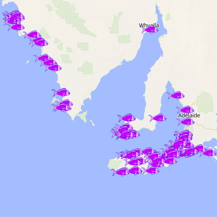 A map showing all the locations where fishing sister has recorded a video