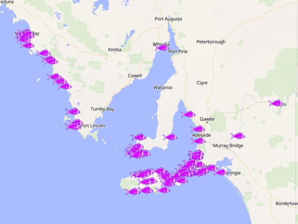 Map showing South Australian fishing spots