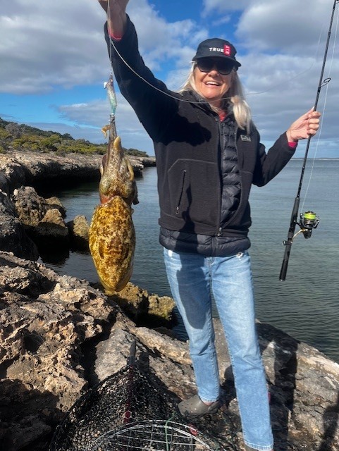 Picture of a Cuttlefish