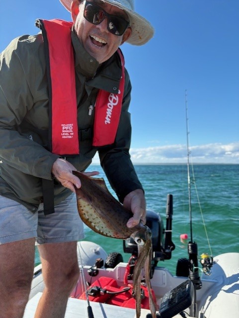 Picture of a Southern Calamari